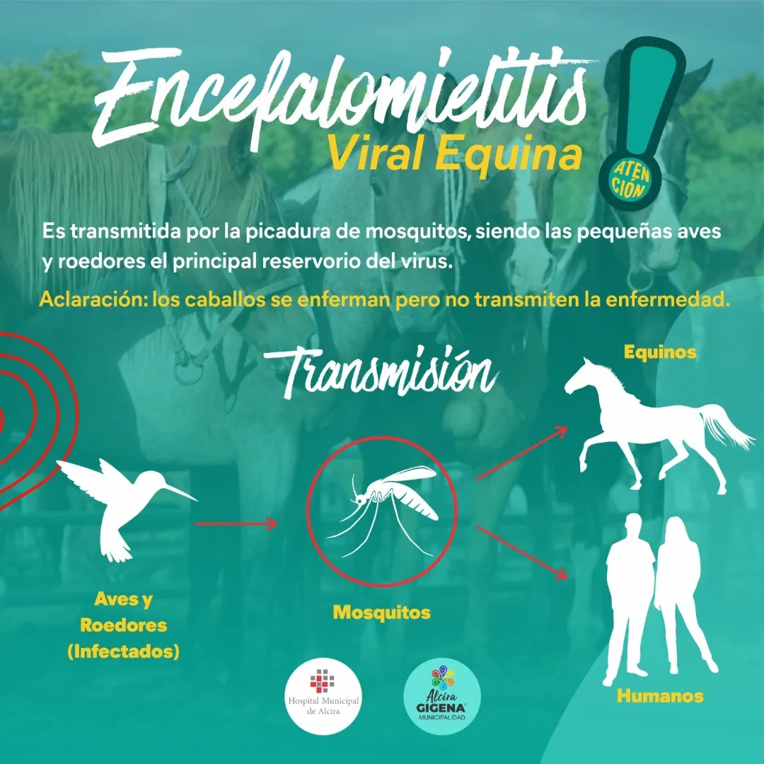 Encefalomielitis Equina